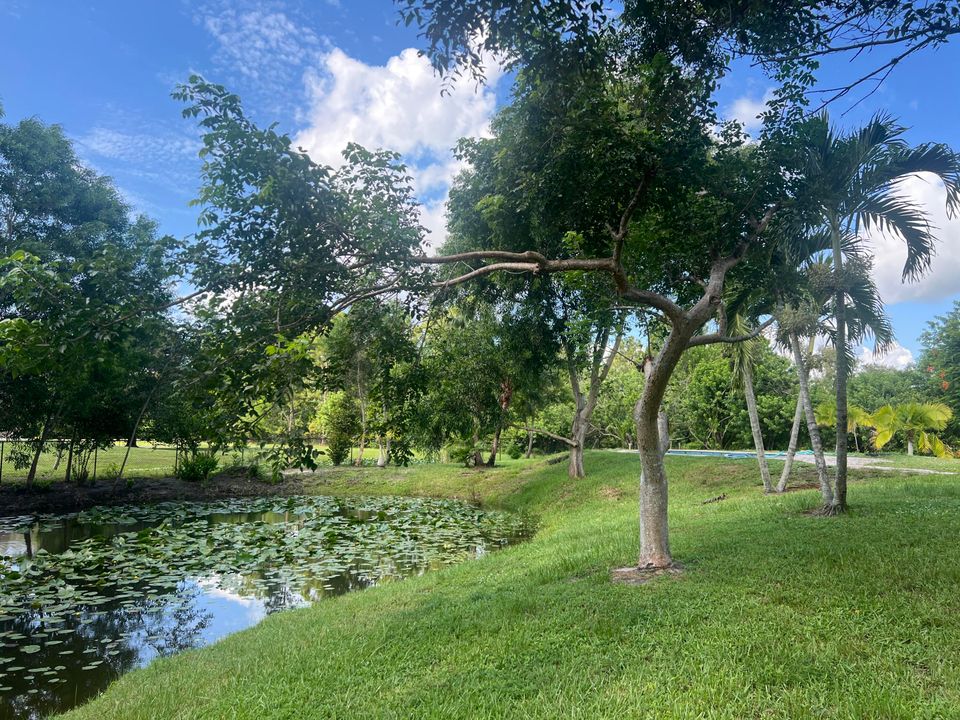 En Venta: $623,900 (3 camas, 2 baños, 1449 Pies cuadrados)