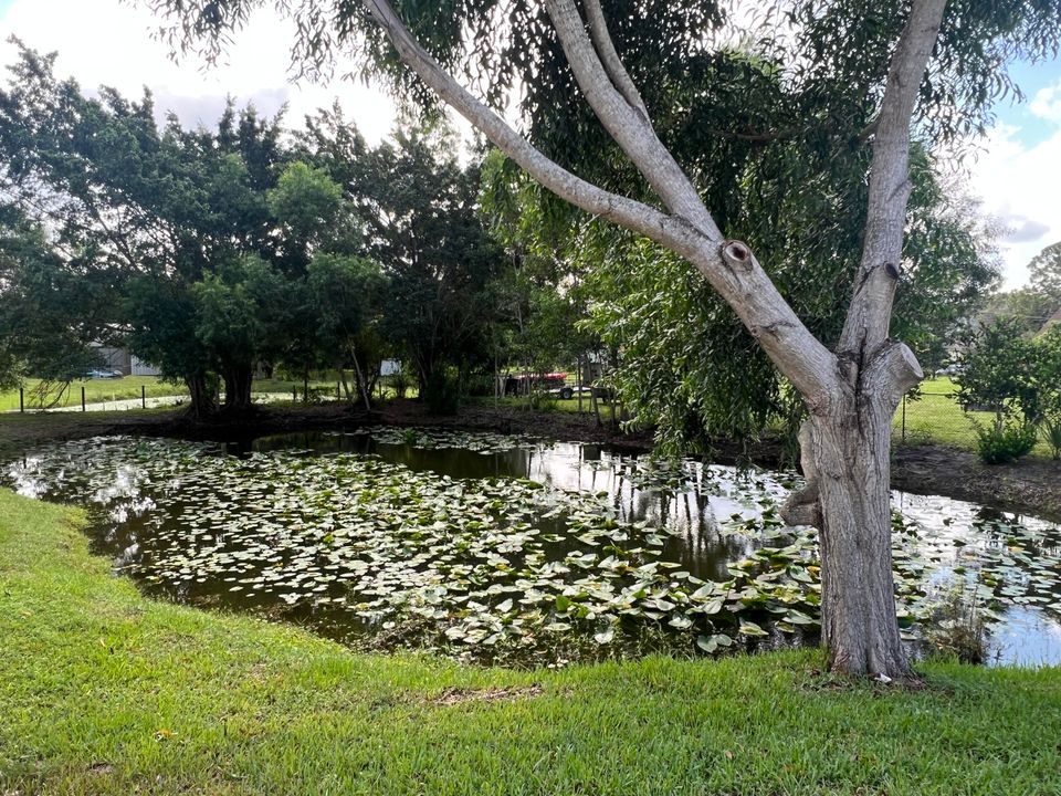 En Venta: $623,900 (3 camas, 2 baños, 1449 Pies cuadrados)