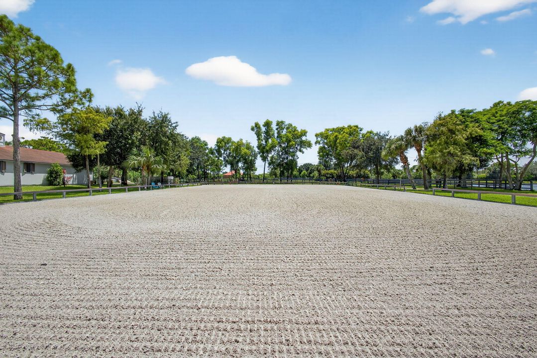 出租: $1,000 (0 贝兹, 0 浴室, 0 平方英尺)