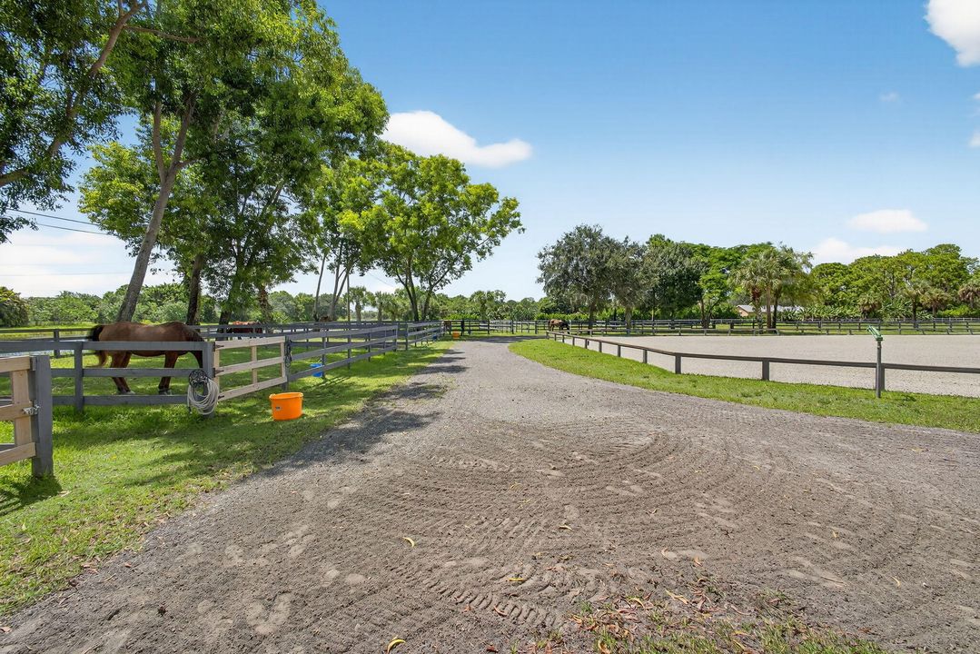 出租: $1,000 (0 贝兹, 0 浴室, 0 平方英尺)