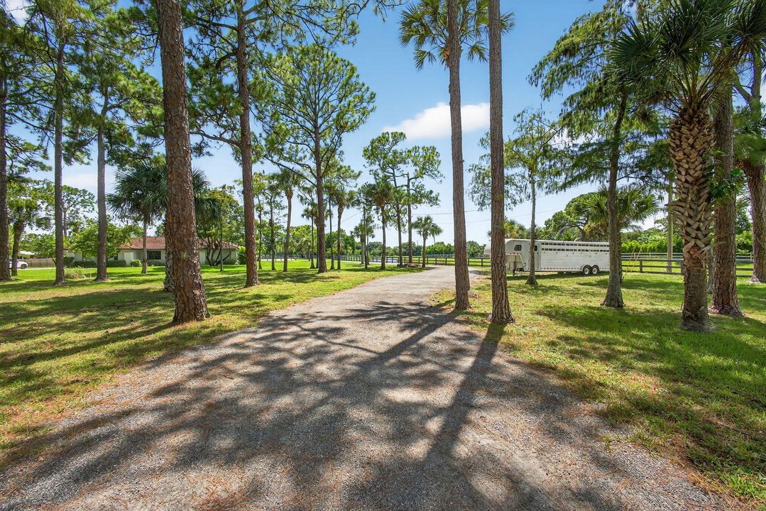 出租: $1,000 (0 贝兹, 0 浴室, 0 平方英尺)