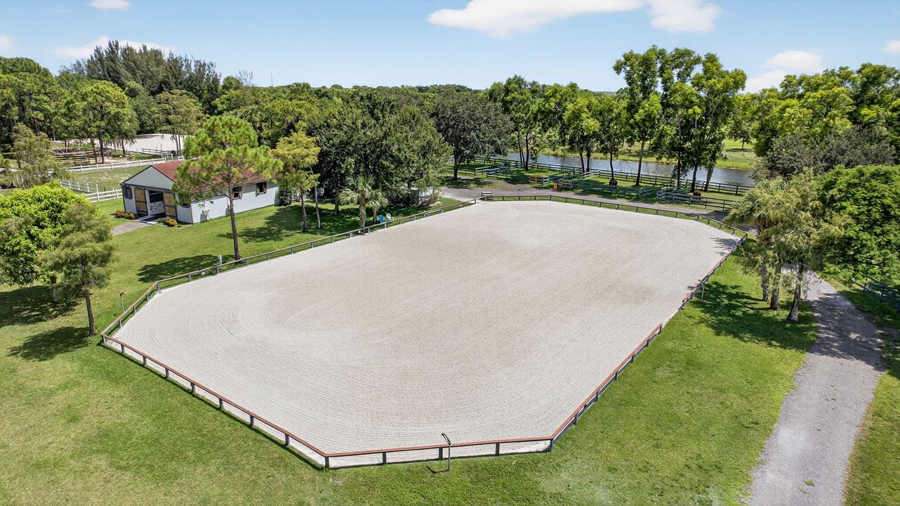 出租: $1,000 (0 贝兹, 0 浴室, 0 平方英尺)