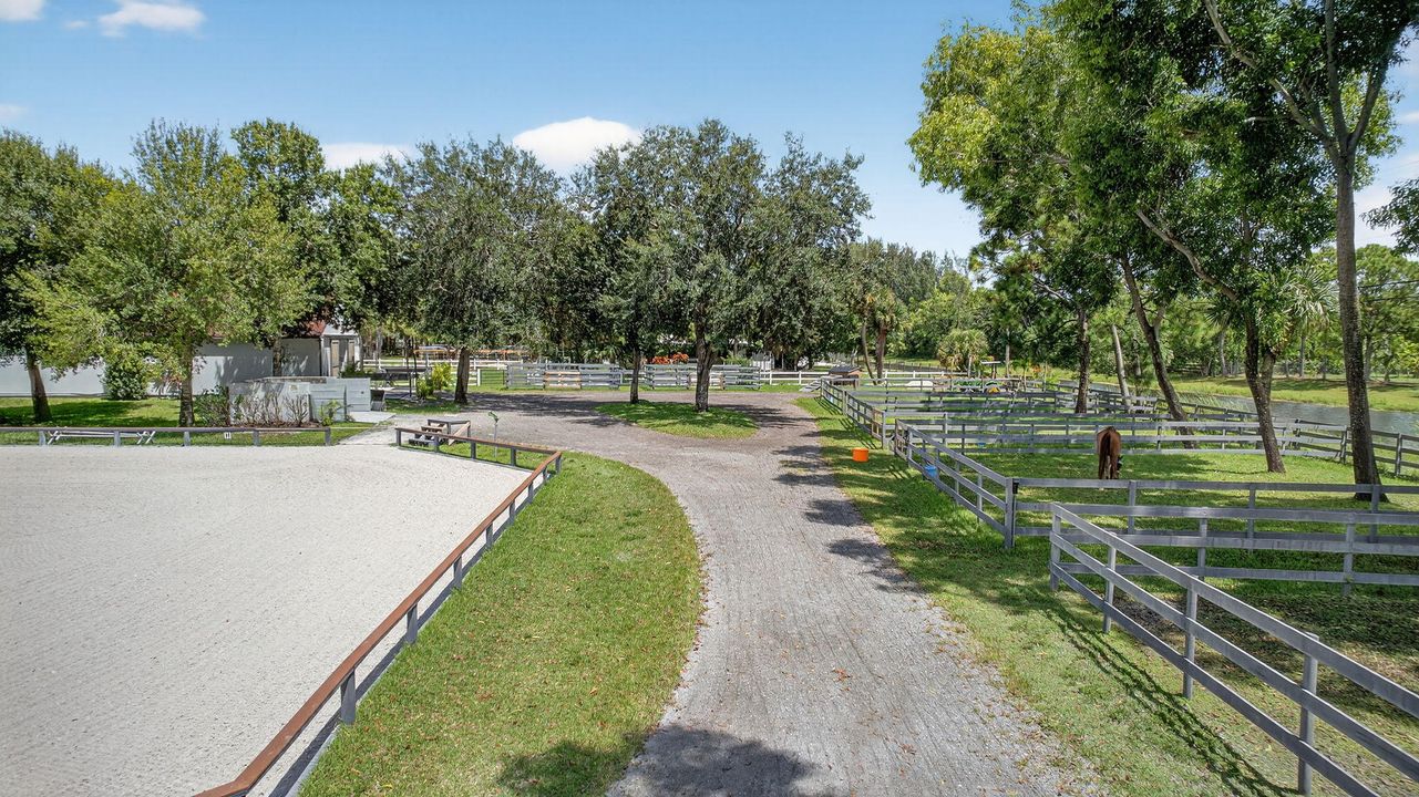 出租: $1,000 (0 贝兹, 0 浴室, 0 平方英尺)