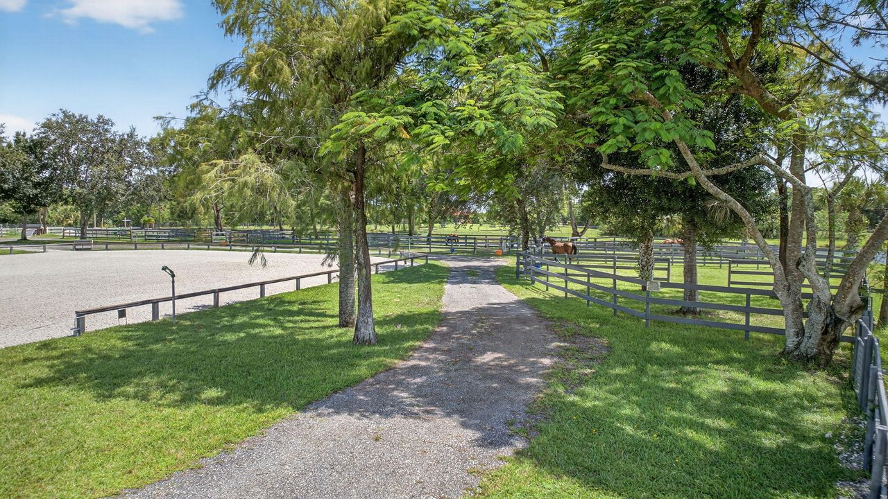 出租: $1,000 (0 贝兹, 0 浴室, 0 平方英尺)