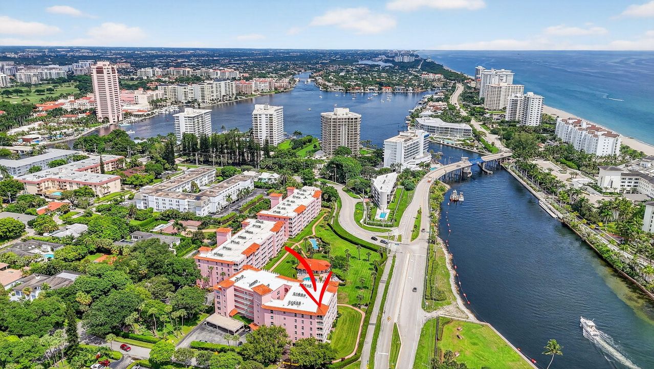 合同活跃: $8,000 (3 贝兹, 2 浴室, 1875 平方英尺)