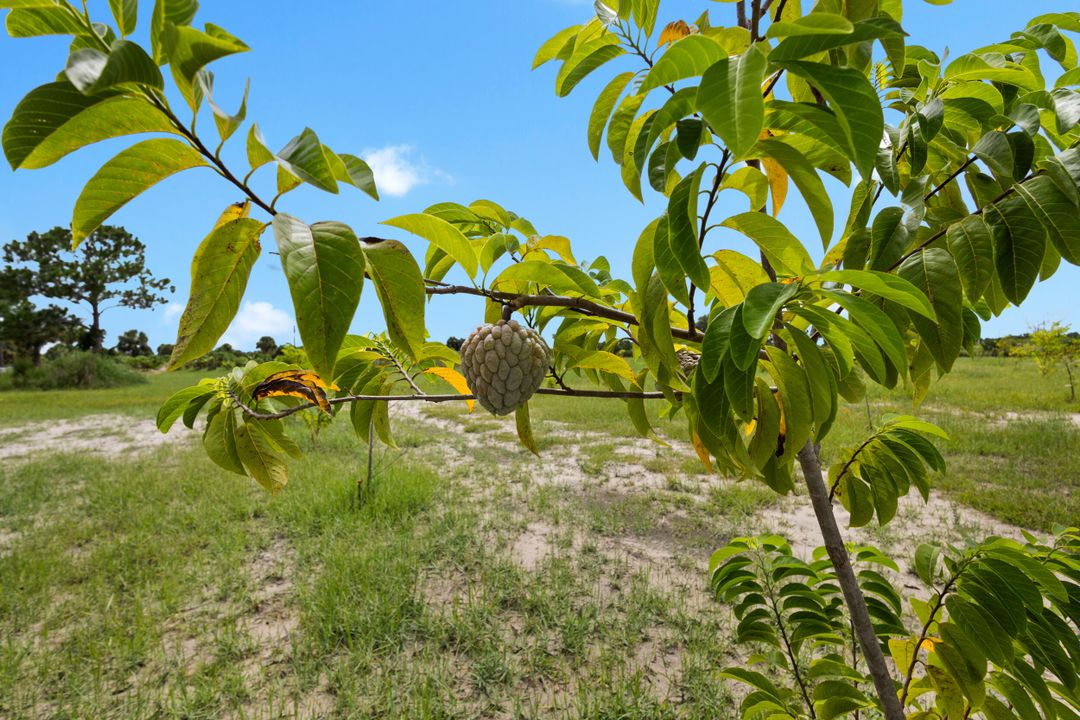 На продажу: $559,999 (0 спален, 0 ванн, 0 Квадратных фут)