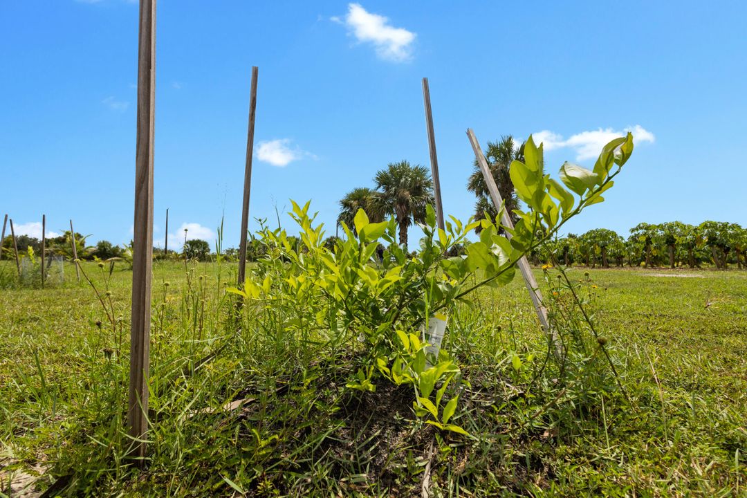 На продажу: $559,999 (0 спален, 0 ванн, 0 Квадратных фут)