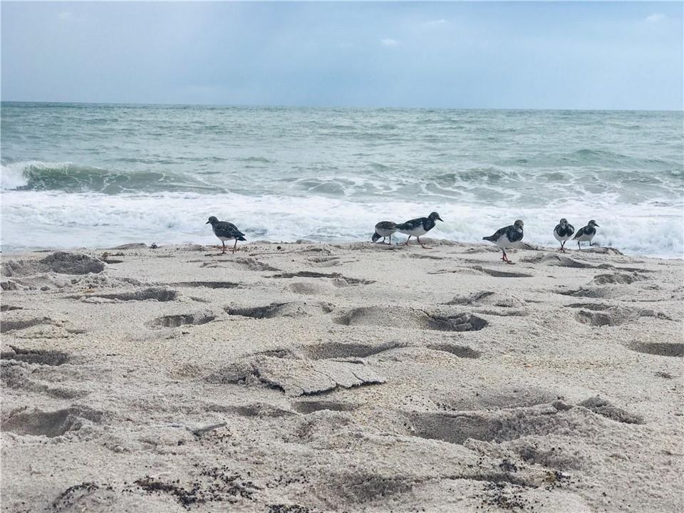 For Rent: $2,500 (2 beds, 2 baths, 1160 Square Feet)