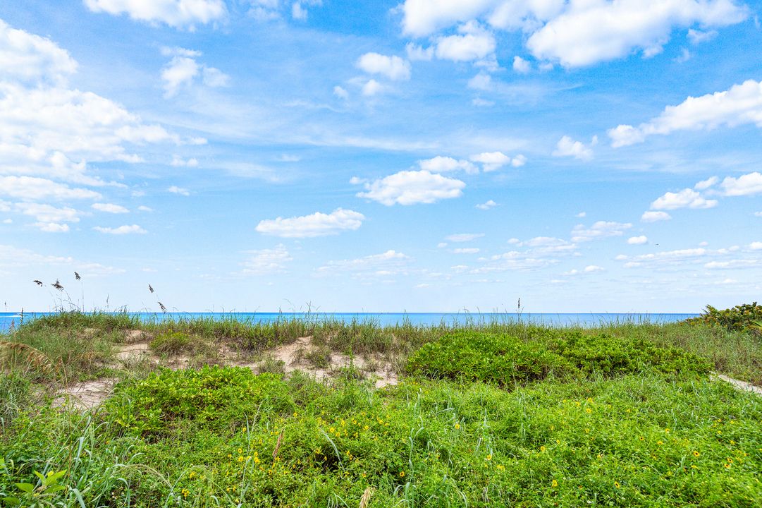 For Sale: $9,995,000 (4 beds, 4 baths, 3976 Square Feet)