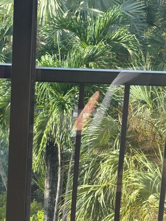 合同活跃: $325,000 (2 贝兹, 2 浴室, 1255 平方英尺)