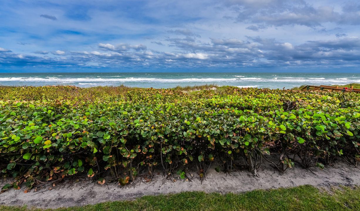 For Sale: $499,990 (1 beds, 1 baths, 937 Square Feet)