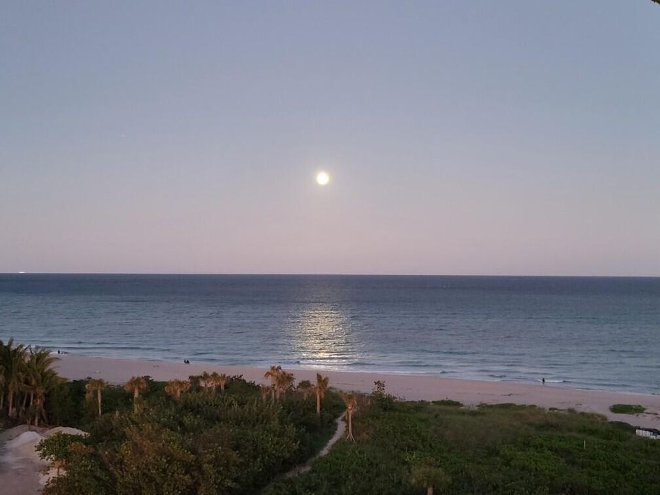 合同活跃: $7,000 (2 贝兹, 2 浴室, 1589 平方英尺)