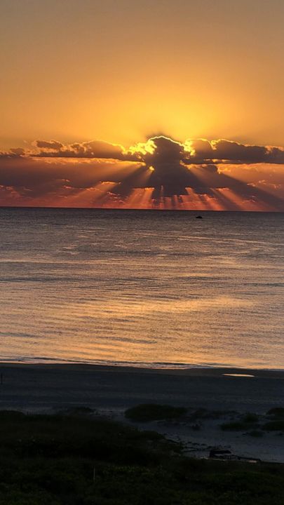 合同活跃: $7,000 (2 贝兹, 2 浴室, 1589 平方英尺)