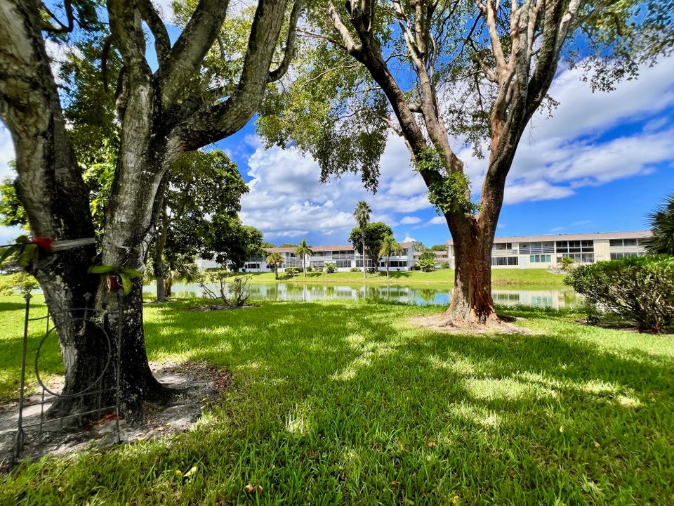 待售: $62,000 (1 贝兹, 1 浴室, 570 平方英尺)