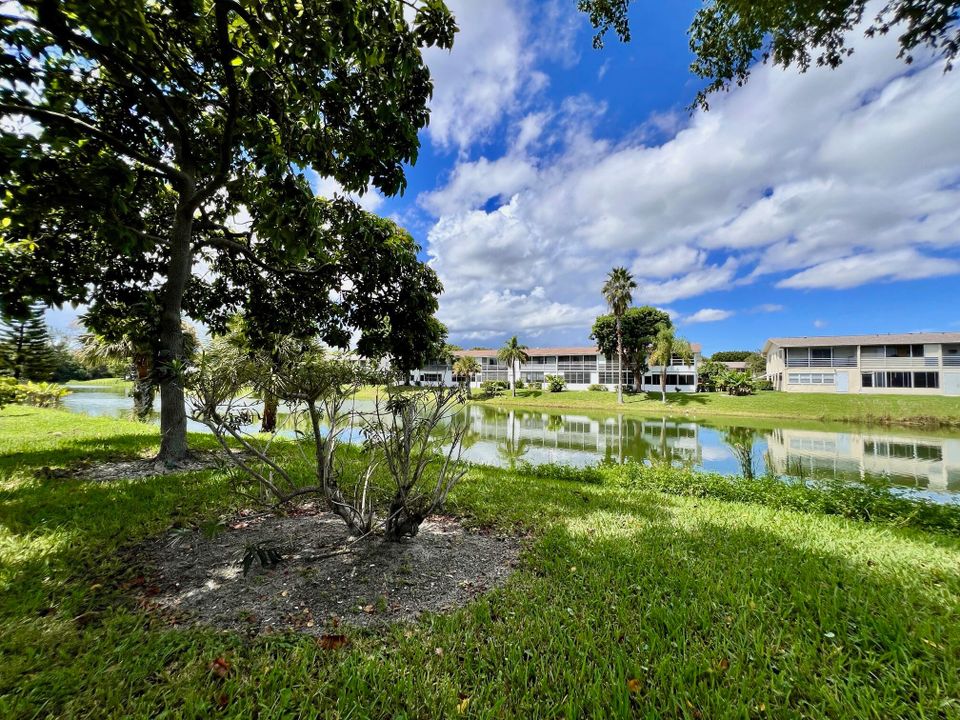 待售: $62,000 (1 贝兹, 1 浴室, 570 平方英尺)