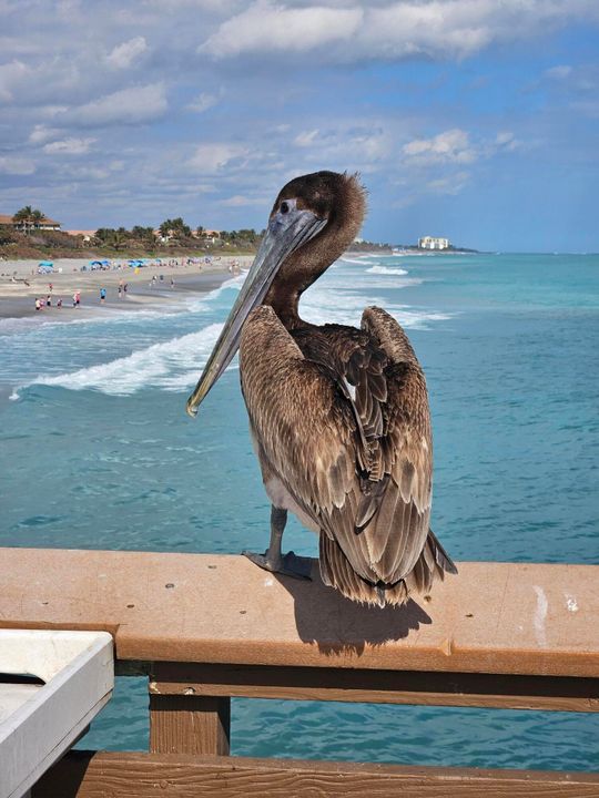 Active With Contract: $8,000 (2 beds, 2 baths, 1263 Square Feet)