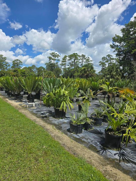 待售: $595,000 (0 贝兹, 0 浴室, 0 平方英尺)