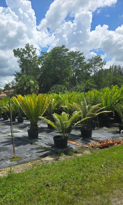 待售: $595,000 (0 贝兹, 0 浴室, 0 平方英尺)