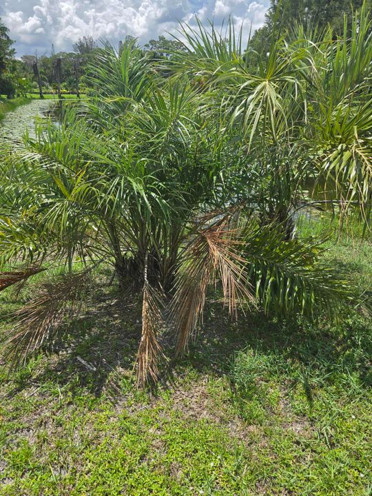 待售: $595,000 (0 贝兹, 0 浴室, 0 平方英尺)