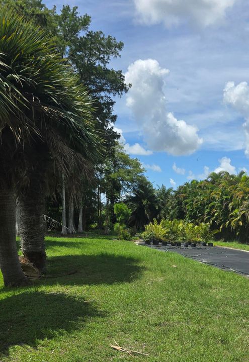 待售: $595,000 (0 贝兹, 0 浴室, 0 平方英尺)