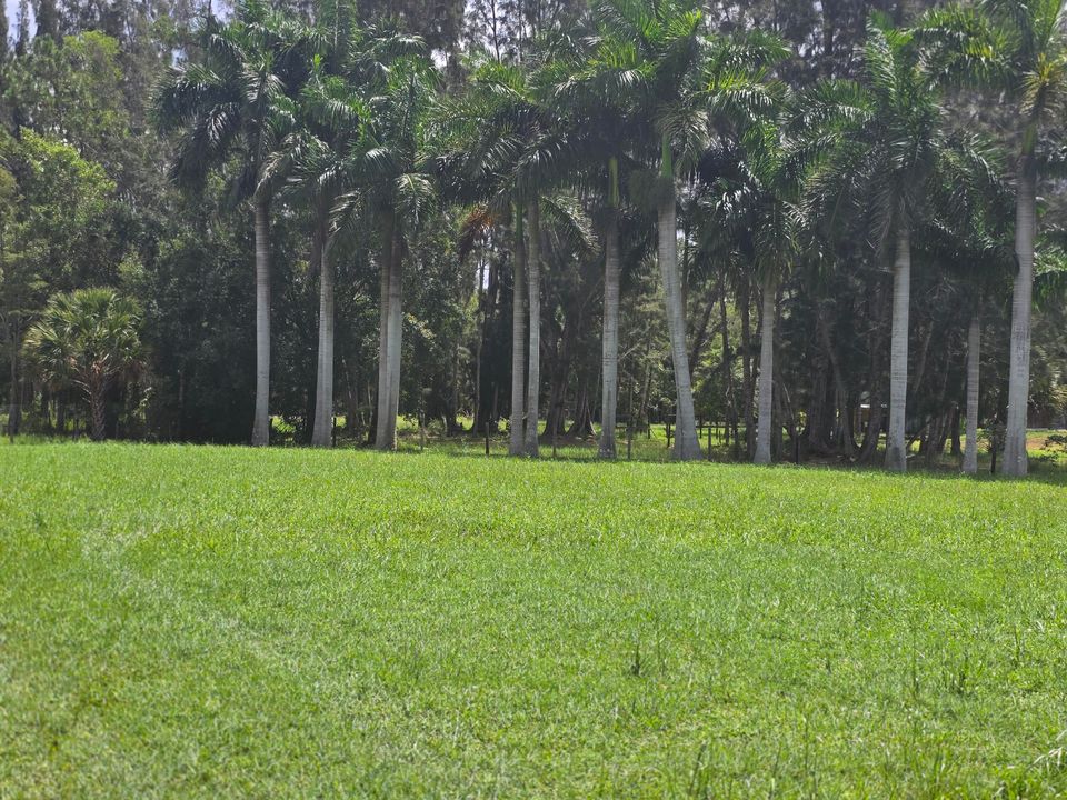 待售: $595,000 (0 贝兹, 0 浴室, 0 平方英尺)