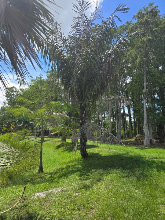 待售: $595,000 (0 贝兹, 0 浴室, 0 平方英尺)