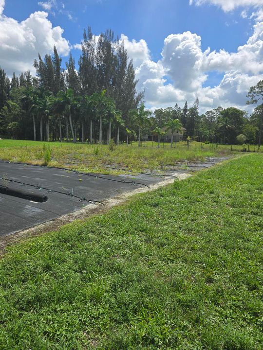 待售: $595,000 (0 贝兹, 0 浴室, 0 平方英尺)