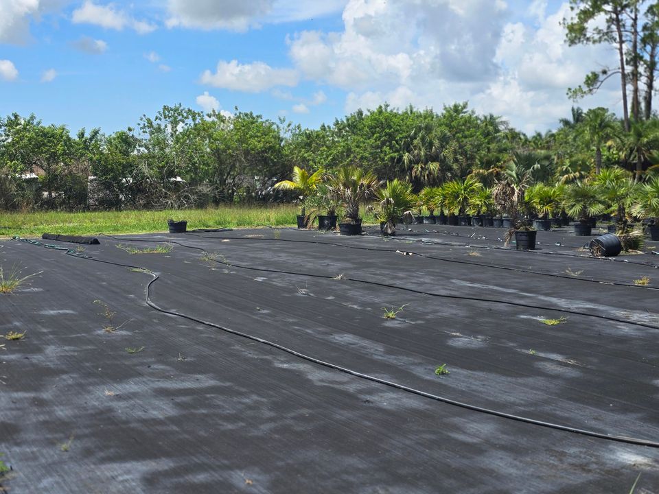 待售: $595,000 (0 贝兹, 0 浴室, 0 平方英尺)