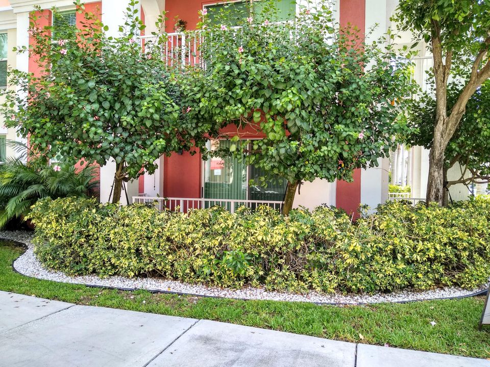 合同活跃: $2,750 (2 贝兹, 2 浴室, 1350 平方英尺)