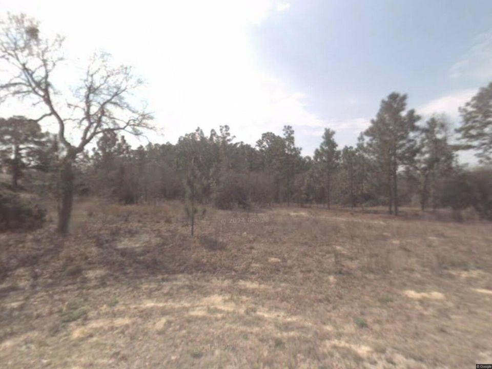 待售: $12,000 (0 贝兹, 0 浴室, 0 平方英尺)