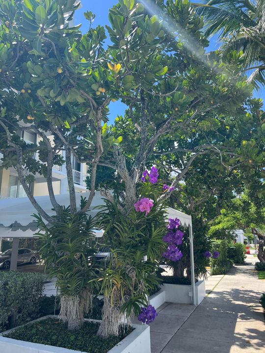 Active With Contract: $11,000 (2 beds, 2 baths, 1201 Square Feet)