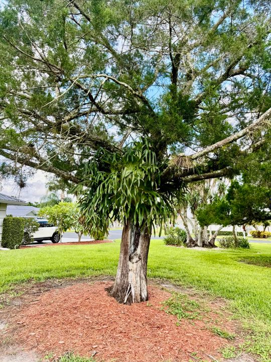For Sale: $459,000 (3 beds, 2 baths, 1378 Square Feet)