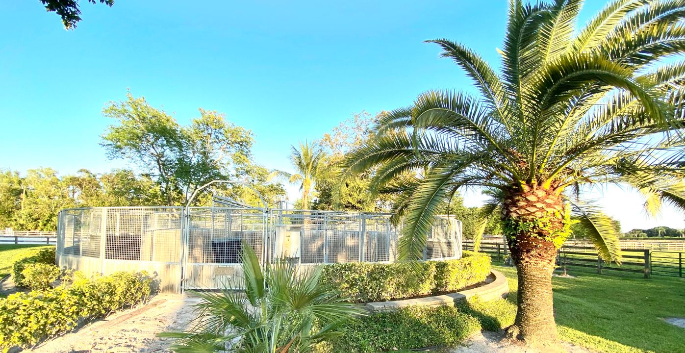 En Renta: $11,500 (1 camas, 0 baños, 2460 Pies cuadrados)