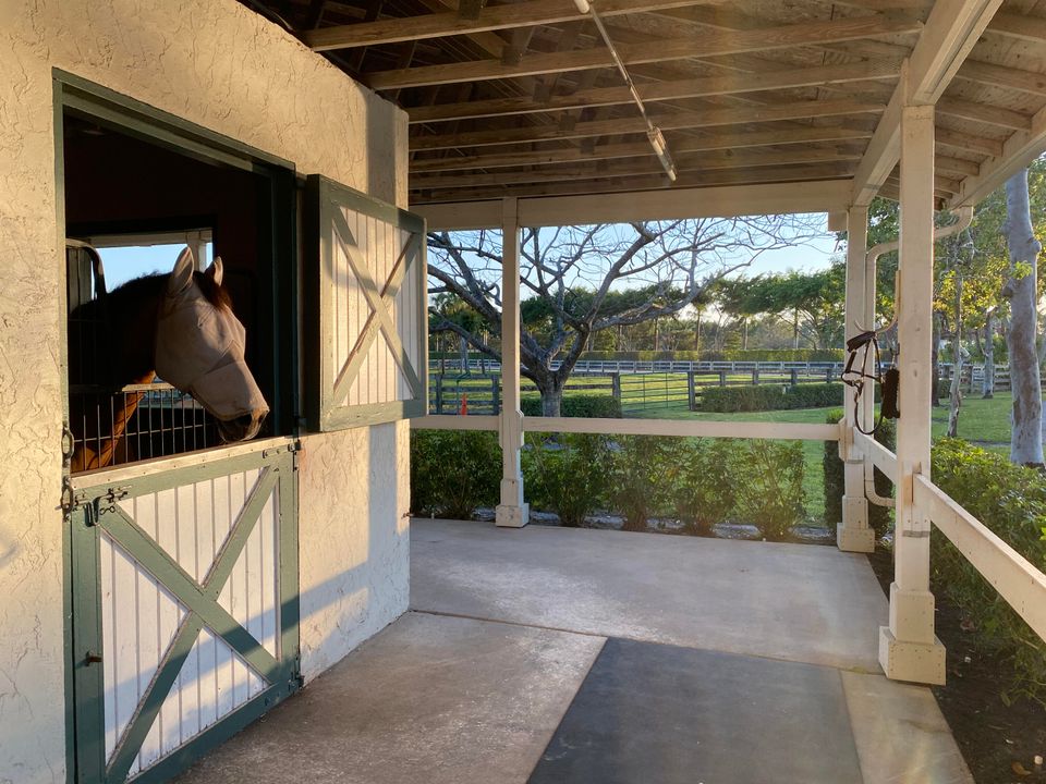 En Renta: $11,500 (1 camas, 0 baños, 2460 Pies cuadrados)