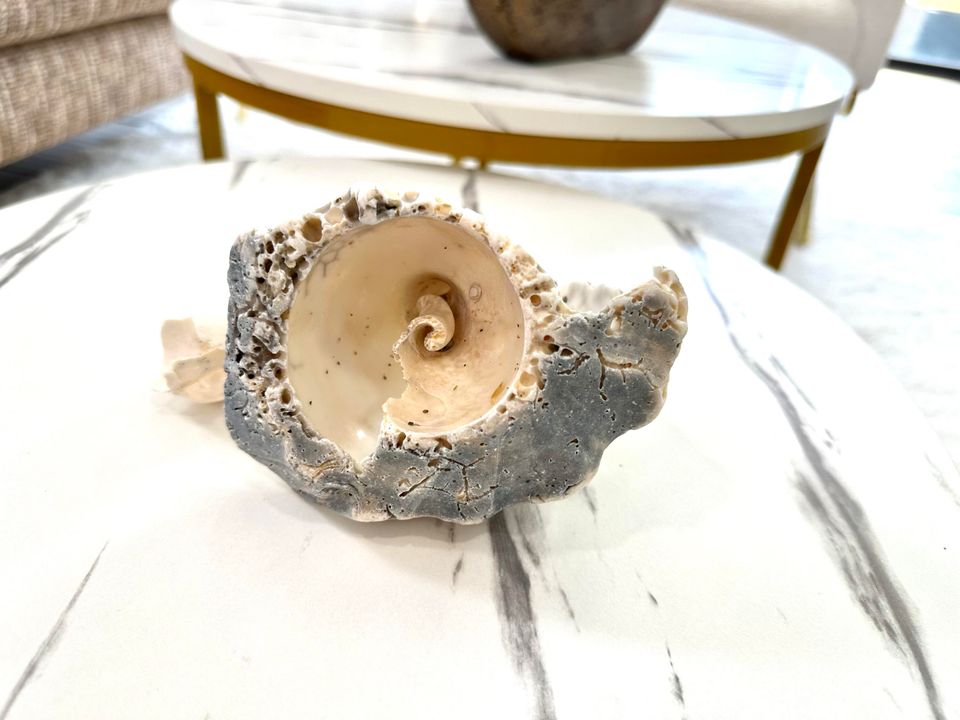 For Rent: $2,500 (2 beds, 1 baths, 1234 Square Feet)