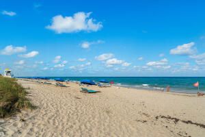 For Rent: $1,800 (1 beds, 1 baths, 772 Square Feet)