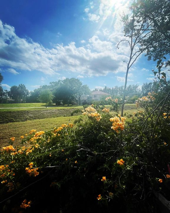 合同活跃: $6,000 (3 贝兹, 2 浴室, 2317 平方英尺)