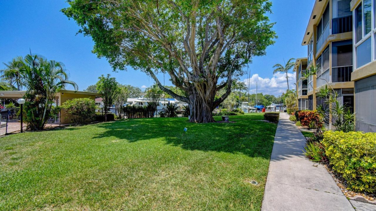 合同活跃: $249,999 (2 贝兹, 2 浴室, 1020 平方英尺)