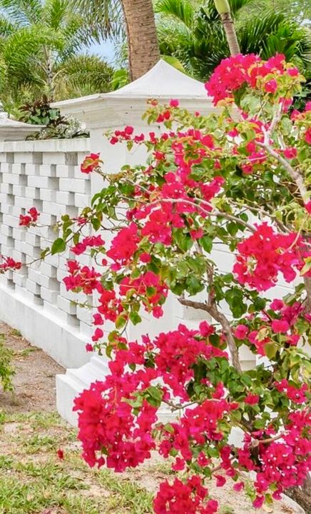 Под контрактом: $2,850 (2 спален, 2 ванн, 717 Квадратных фут)