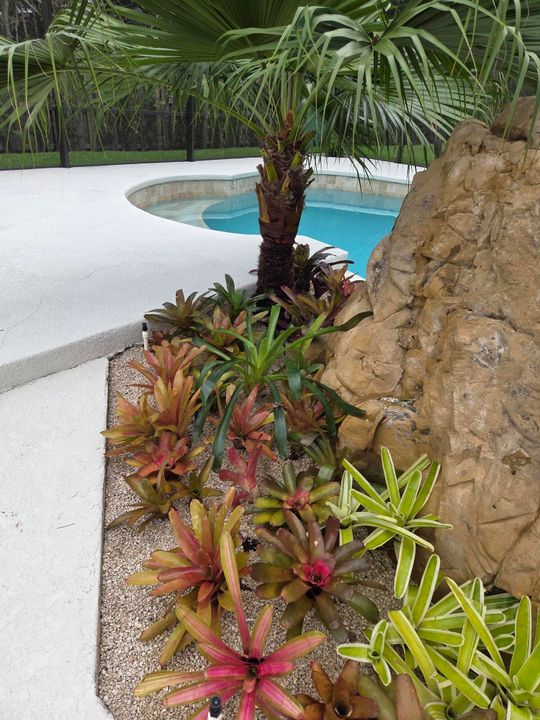 出租: $12,000 (4 贝兹, 3 浴室, 2779 平方英尺)