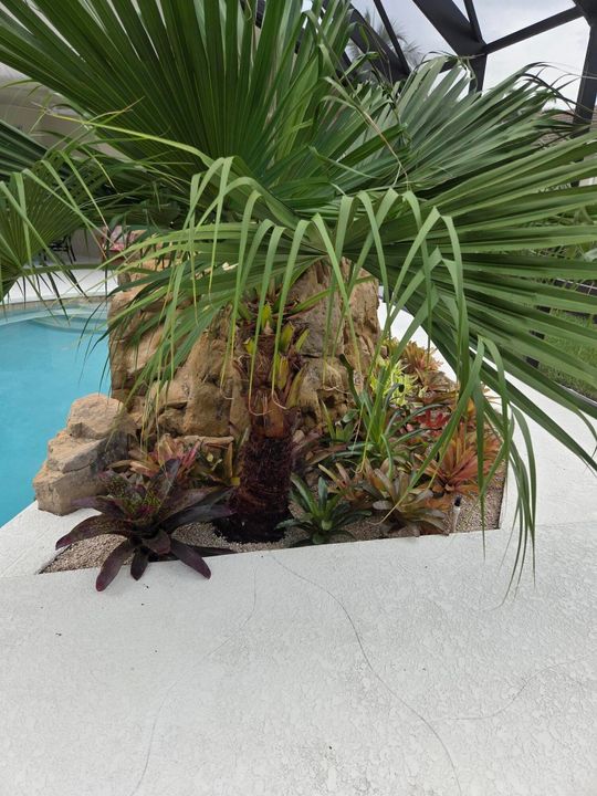 出租: $12,000 (4 贝兹, 3 浴室, 2779 平方英尺)