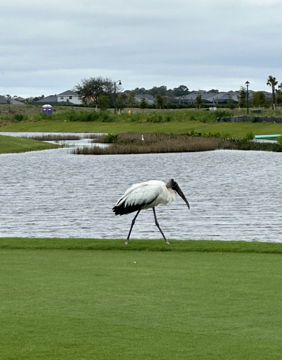 En Venta: $454,000 (3 camas, 2 baños, 2110 Pies cuadrados)