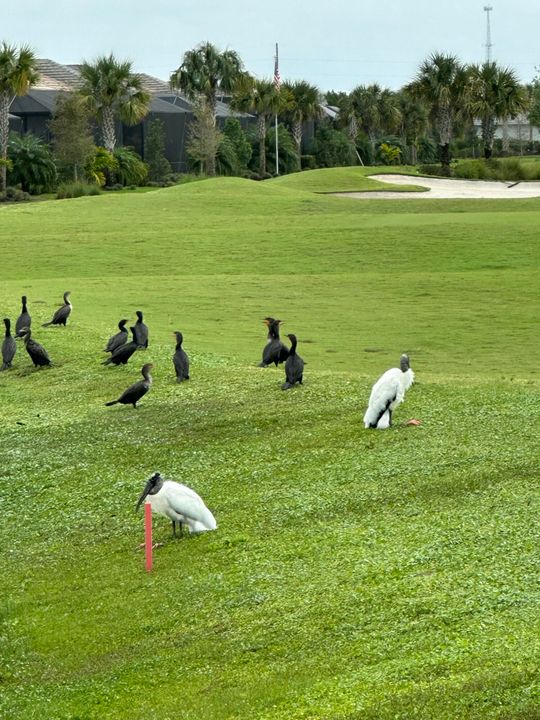 En Venta: $454,000 (3 camas, 2 baños, 2110 Pies cuadrados)