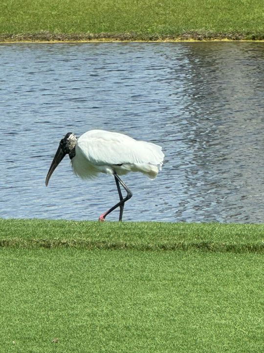 En Venta: $454,000 (3 camas, 2 baños, 2110 Pies cuadrados)