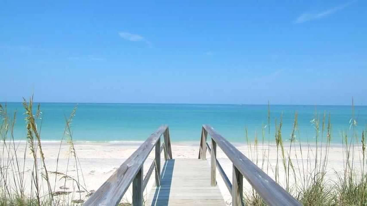 合同活跃: $1,950 (1 贝兹, 1 浴室, 787 平方英尺)