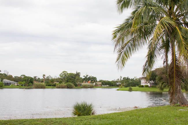 Active With Contract: $1,700 (1 beds, 1 baths, 648 Square Feet)