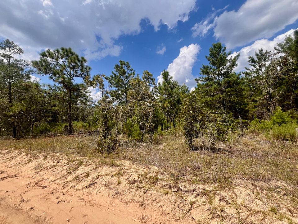 На продажу: $12,800 (0 спален, 0 ванн, 0 Квадратных фут)