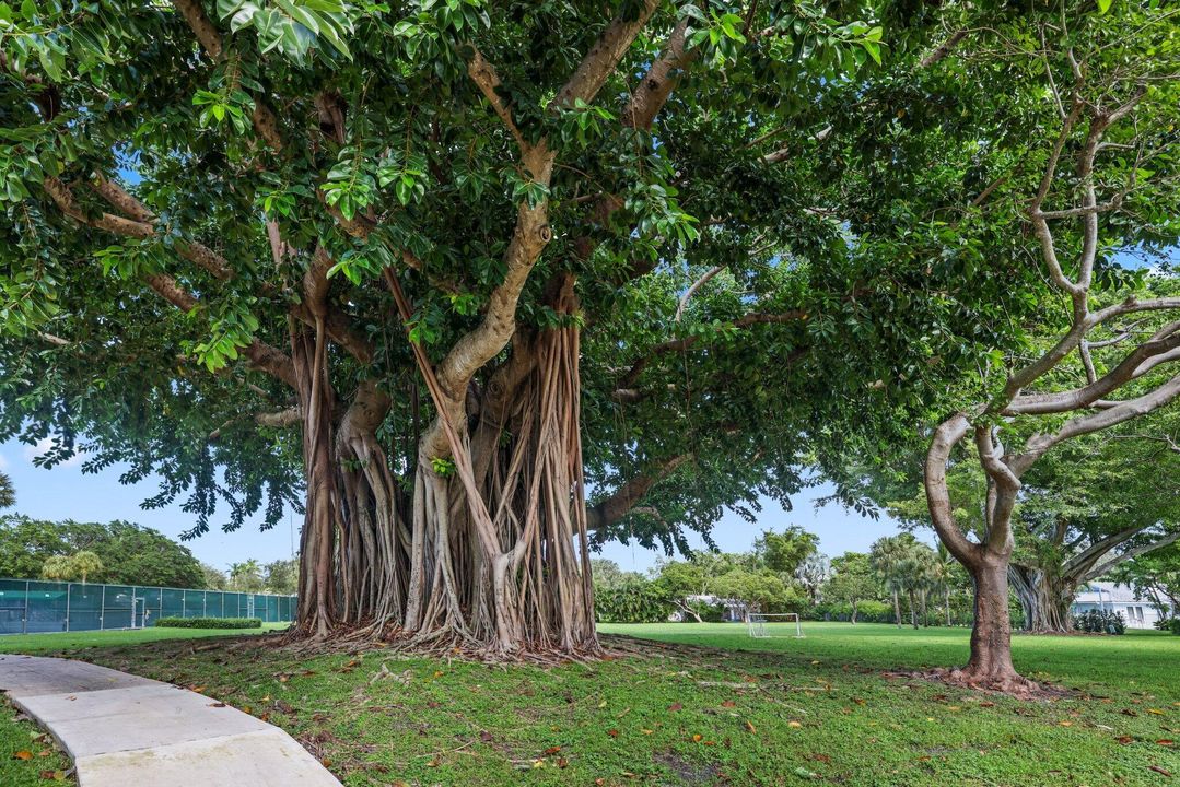 Active With Contract: $1,999,900 (4 beds, 3 baths, 3574 Square Feet)