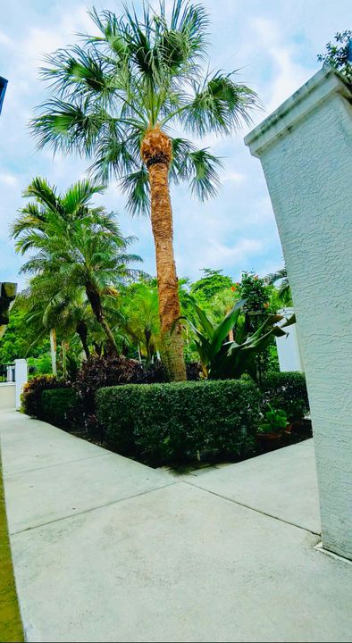 出租: $3,450 (2 贝兹, 2 浴室, 1200 平方英尺)