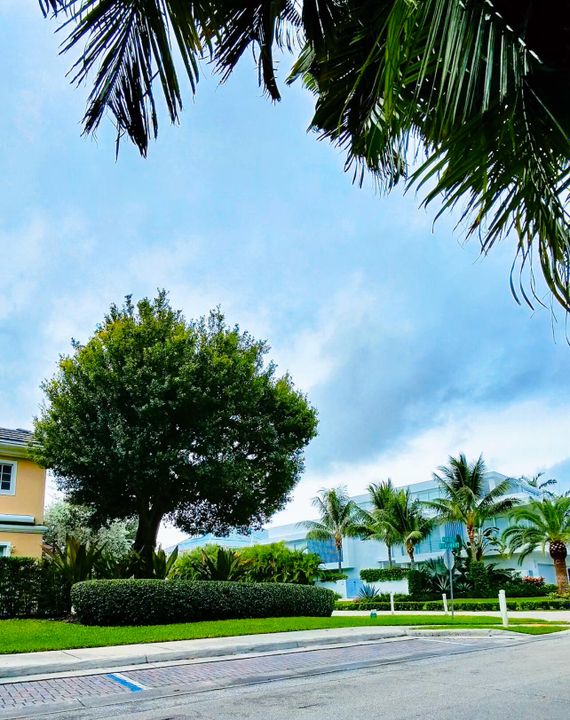 出租: $3,450 (2 贝兹, 2 浴室, 1200 平方英尺)